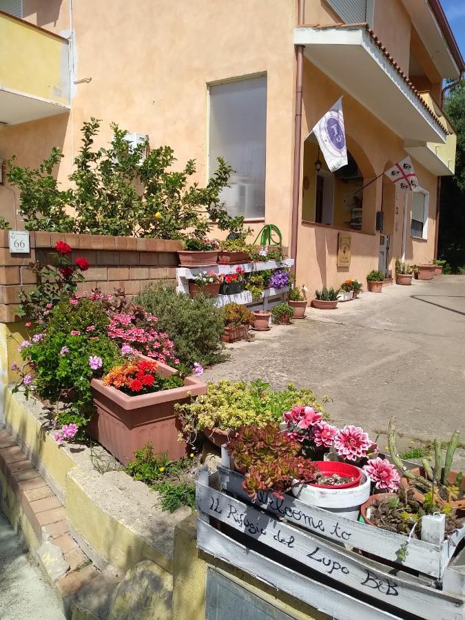 B&B Il Rifugio Del Lupo - E6721 Paringianu Zewnętrze zdjęcie